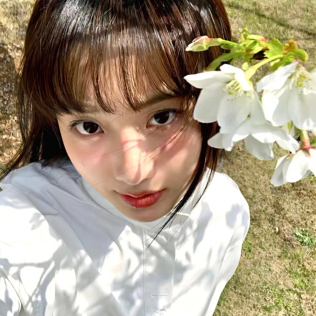 小海龟历险记2